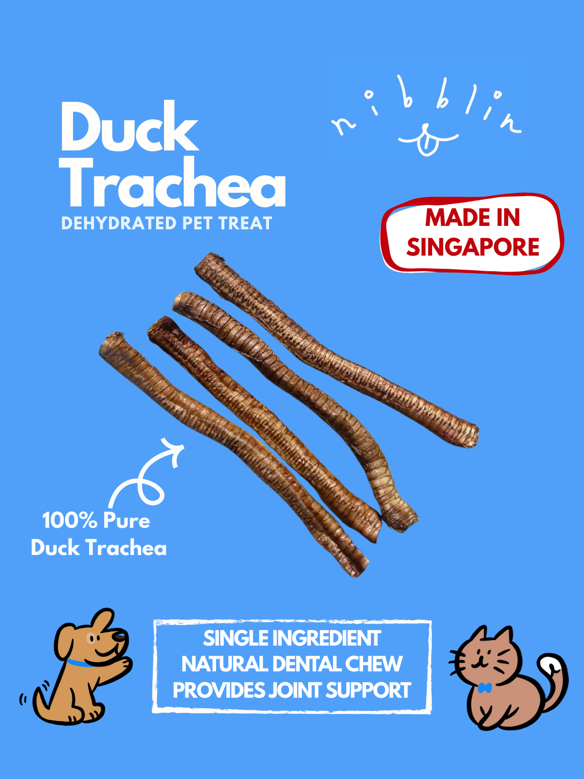 Duck Trachea