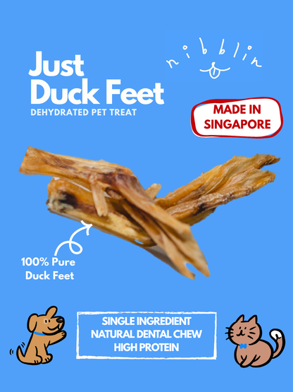 Just Duck Feet
