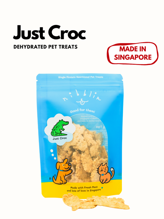 Just Crocodile