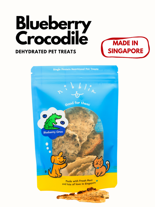 Blueberry Crocodile
