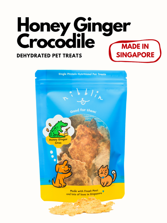 Honey Ginger Crocodile