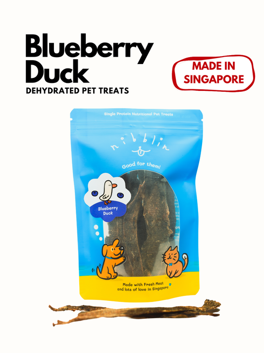 Blueberry Duck