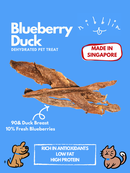 Blueberry Duck