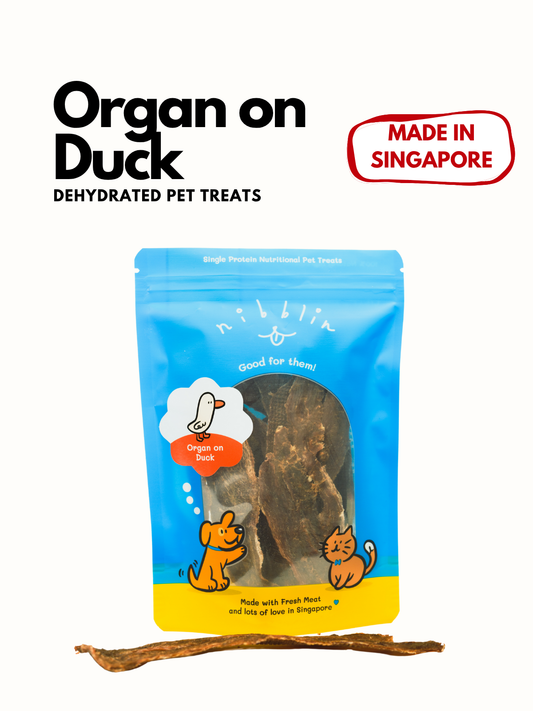 Organ on Duck