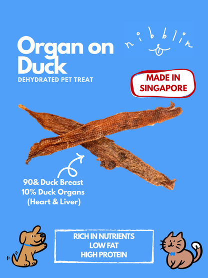 Organ on Duck