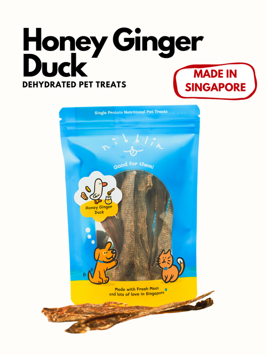 Honey Ginger Duck