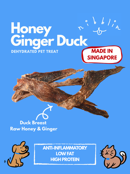 Honey Ginger Duck
