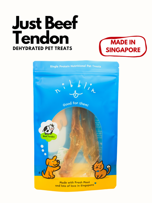 Just Beef Tendon