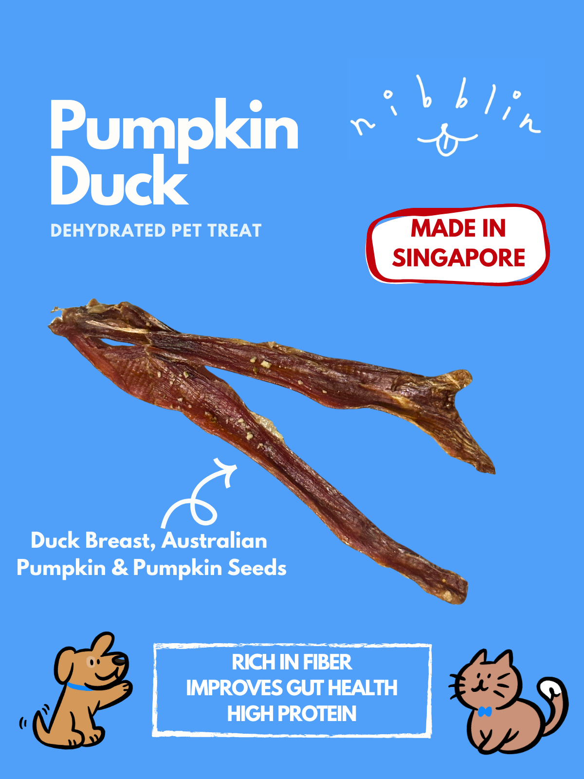 Pumpkin Duck