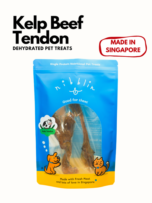 Kelp Beef Tendon