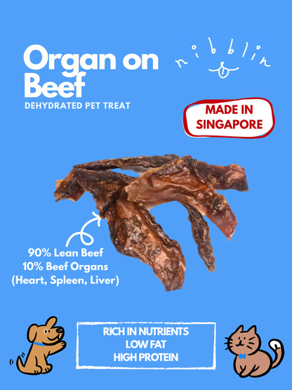 Organ on Beef
