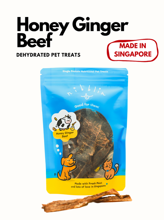 Honey Ginger Beef