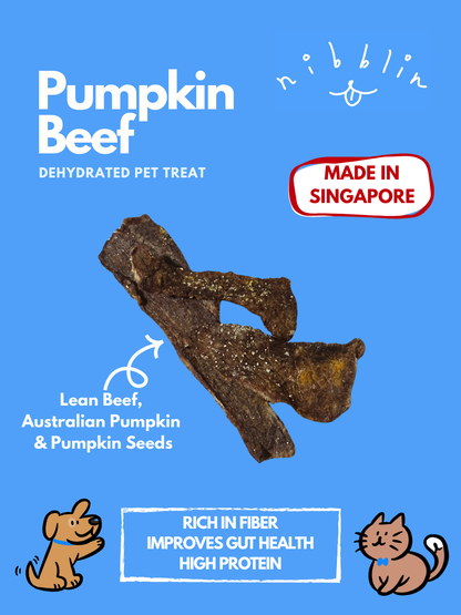 Pumpkin Beef