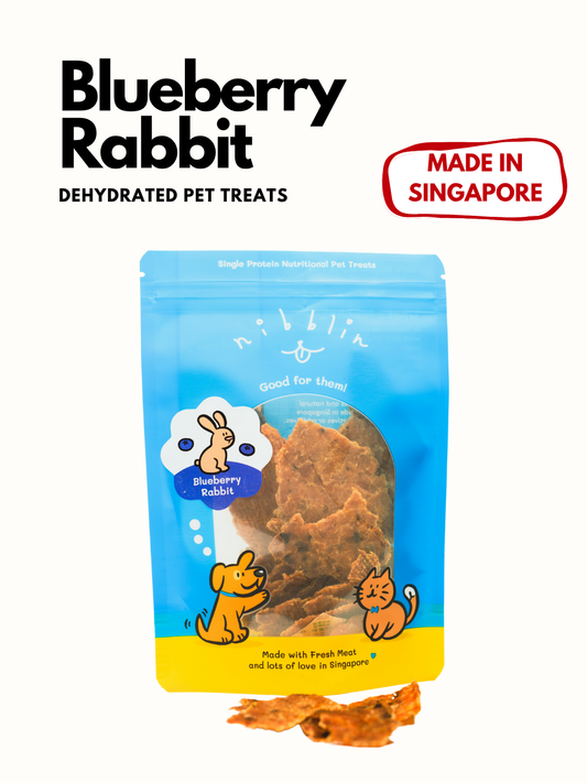 Blueberry Rabbit