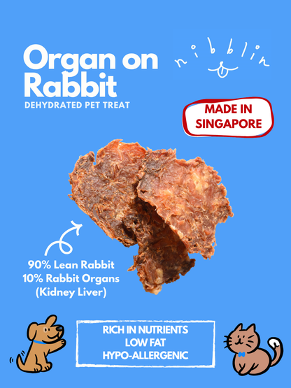 Organ on Rabbit