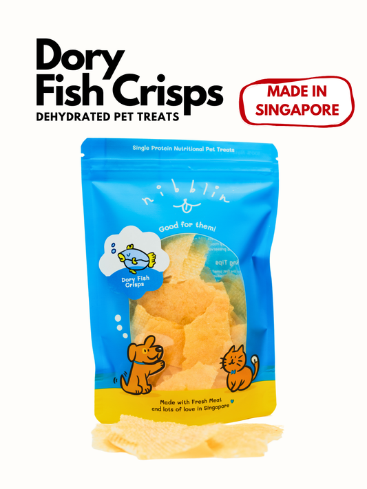 Dory Fish Patties