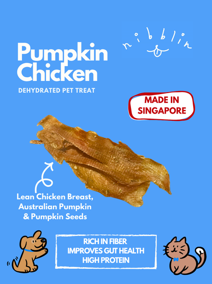 Pumpkin Chicken