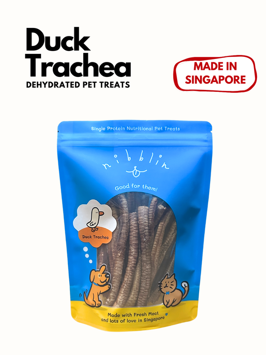 Duck Trachea