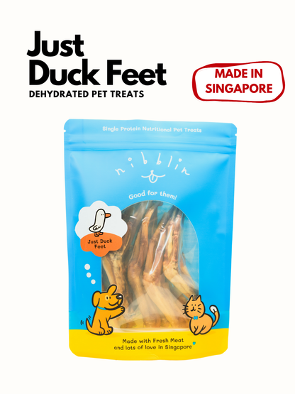 Just Duck Feet