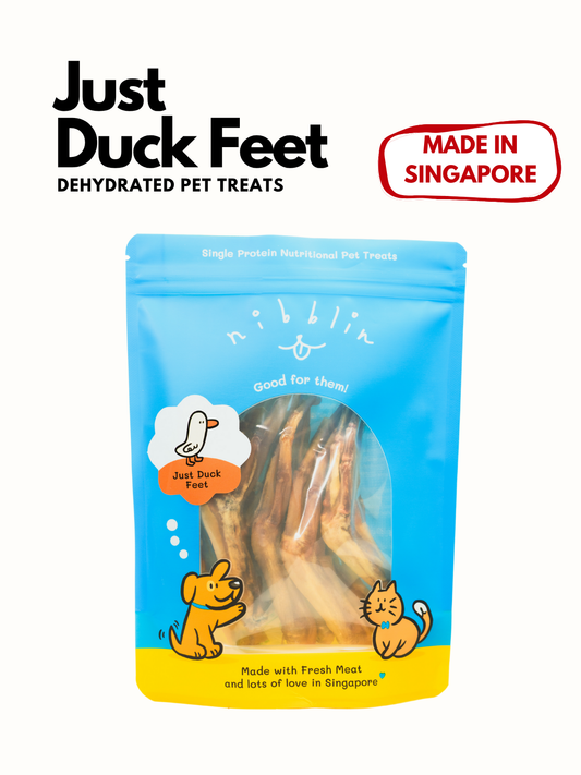 Just Duck Feet