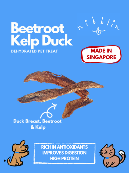 Beetroot Kelp Duck