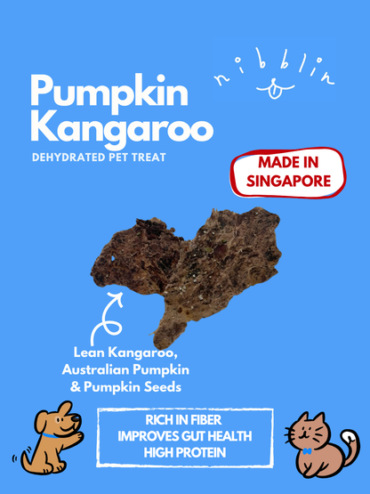 Pumpkin Kangaroo