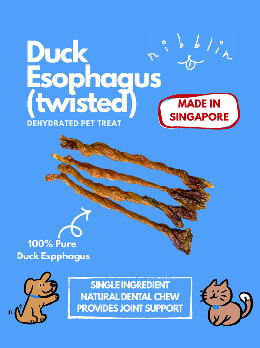Duck Esophagus