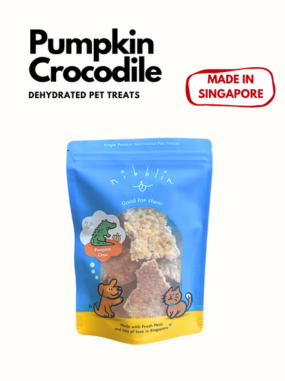 Pumpkin Crocodile