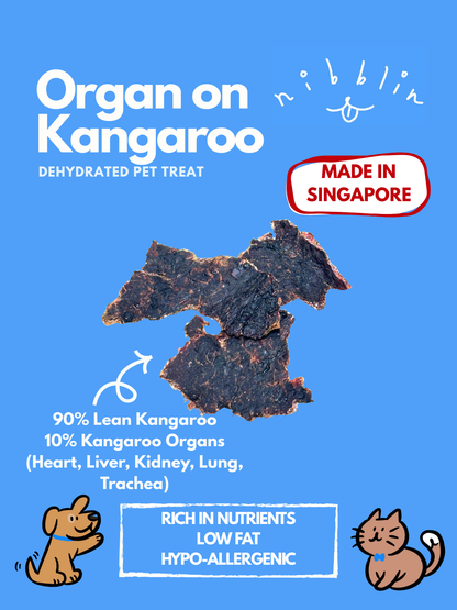 Organ on Kangaroo