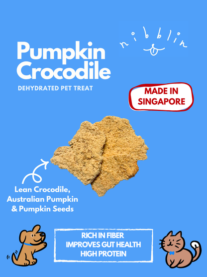 Pumpkin Crocodile