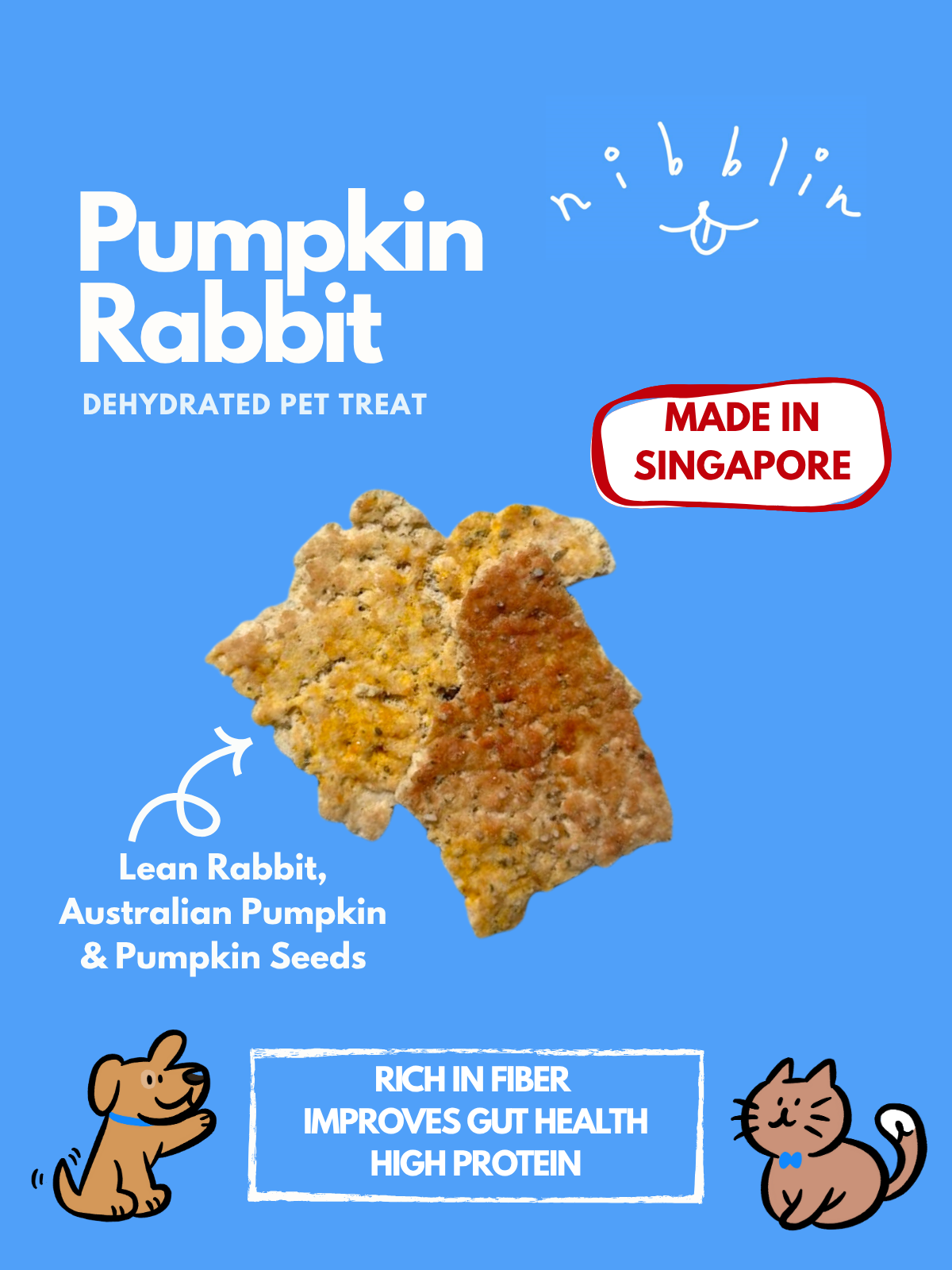 Pumpkin Rabbit