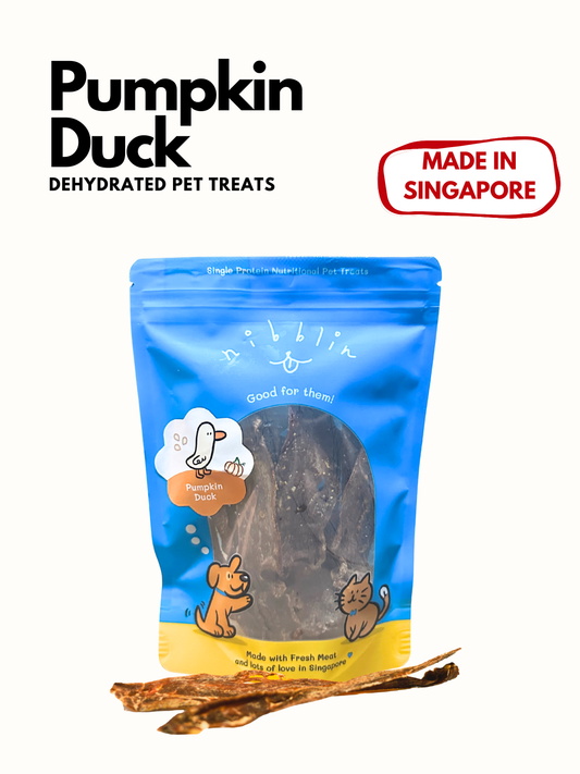 Pumpkin Duck