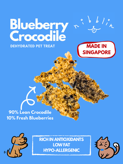 Blueberry Crocodile