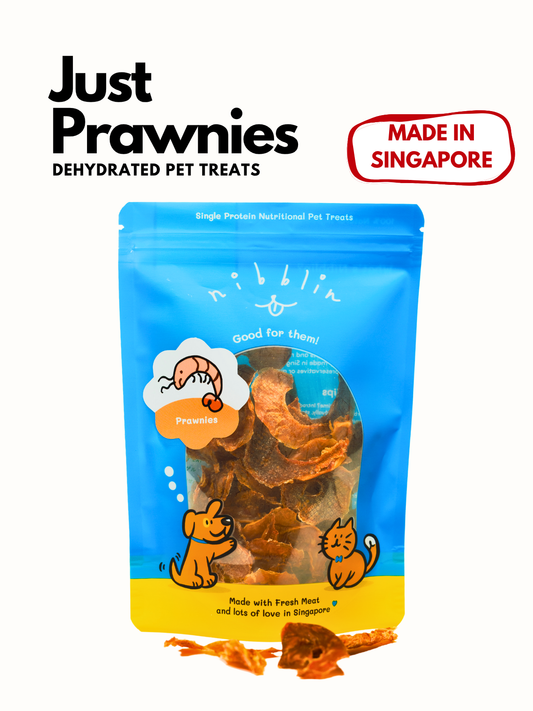 Prawnies